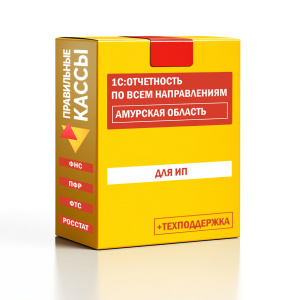 Отчетность_ИП_Амурская область